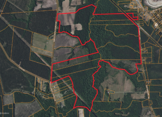 305 Acres Farmland & Timber with Hunting in NC